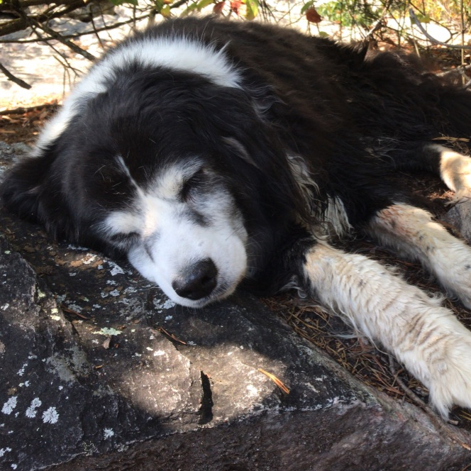 There’s More to it Than Just&nbsp;Melatonin